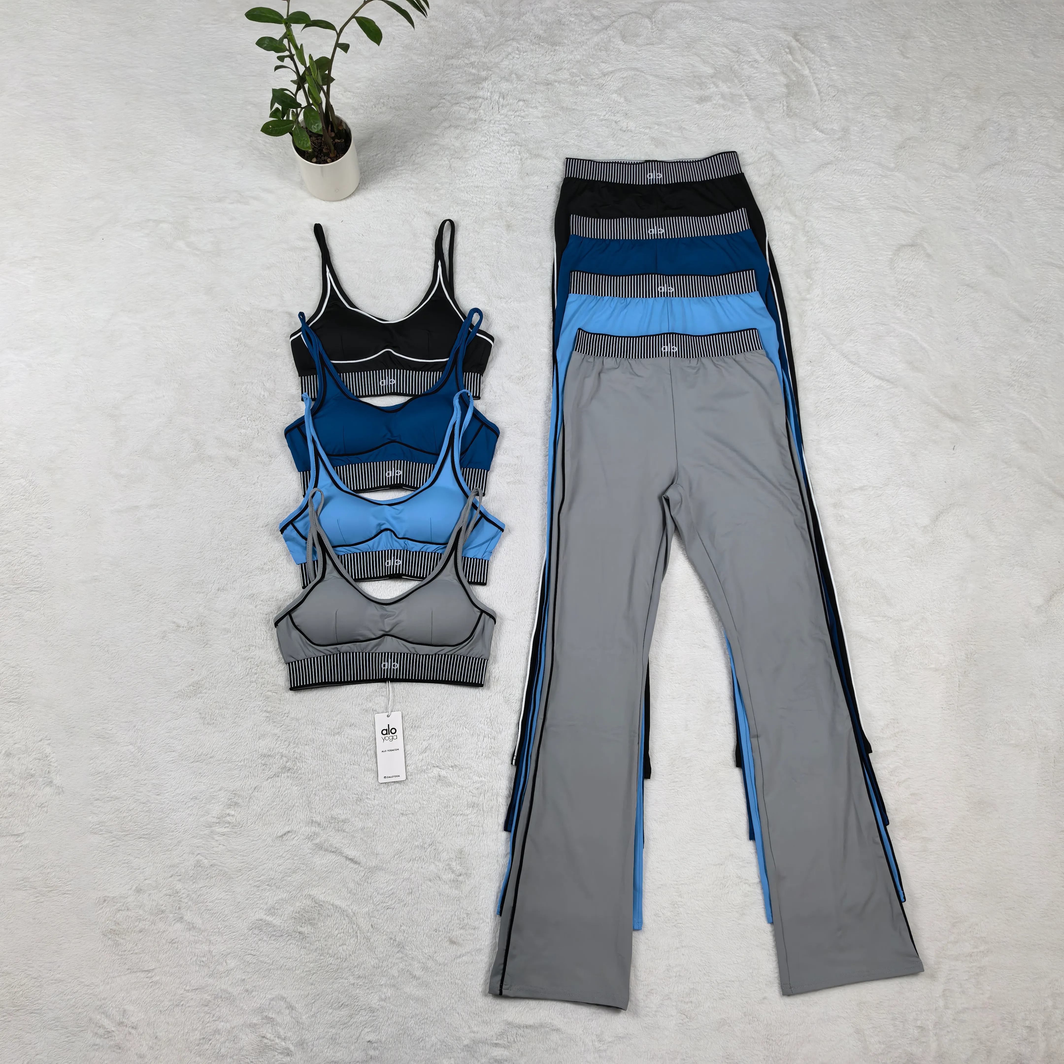 Collection 3